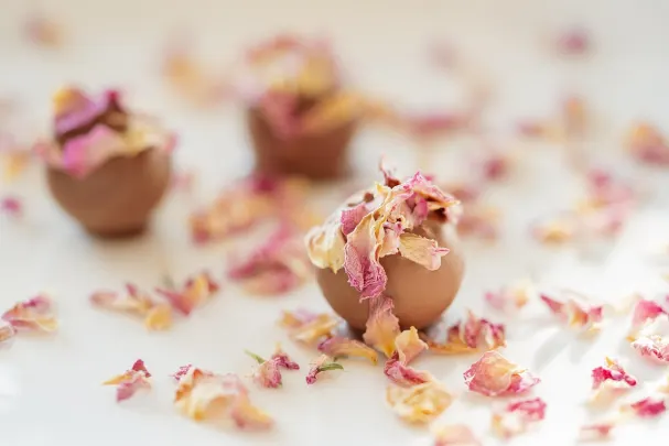 Otto Kasino App Android/iOS